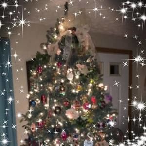 Meet your Posher, Debbie